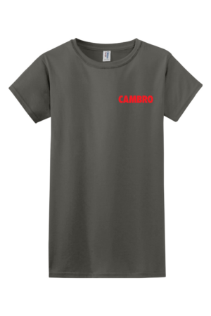 Women's Softstyle T-Shirt - Image 3